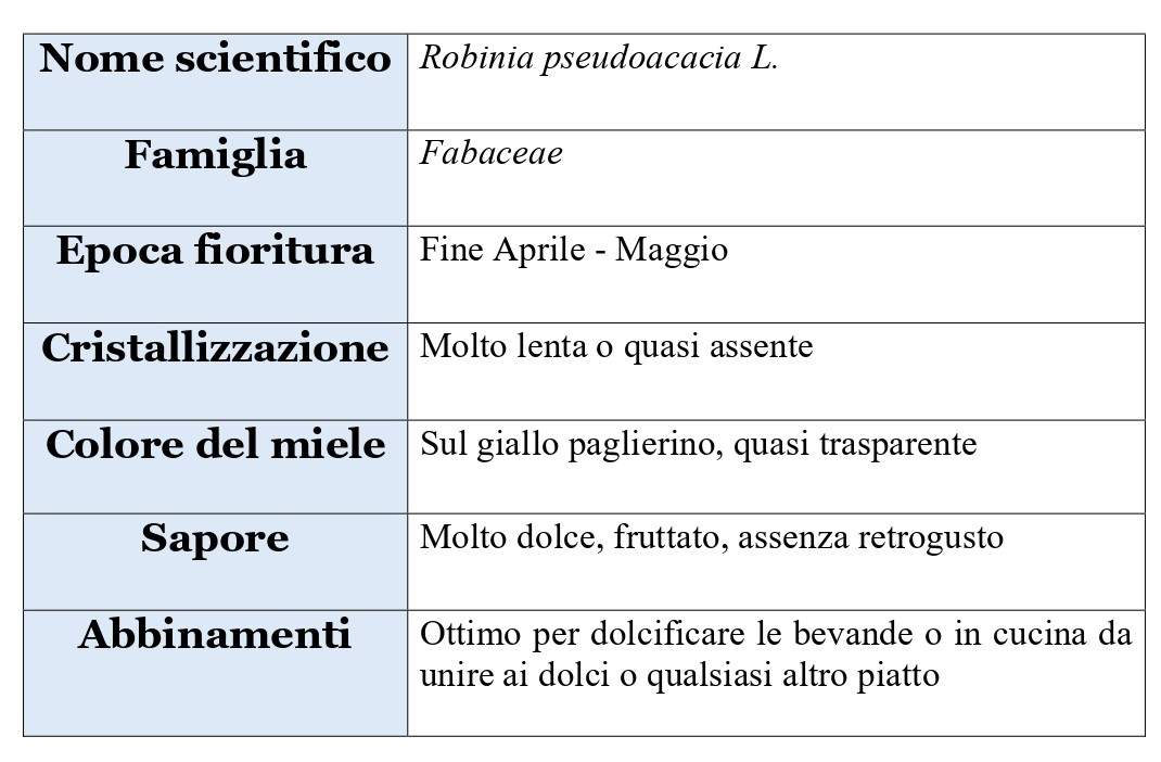 Miele di Acacia - www.terraeapi.it